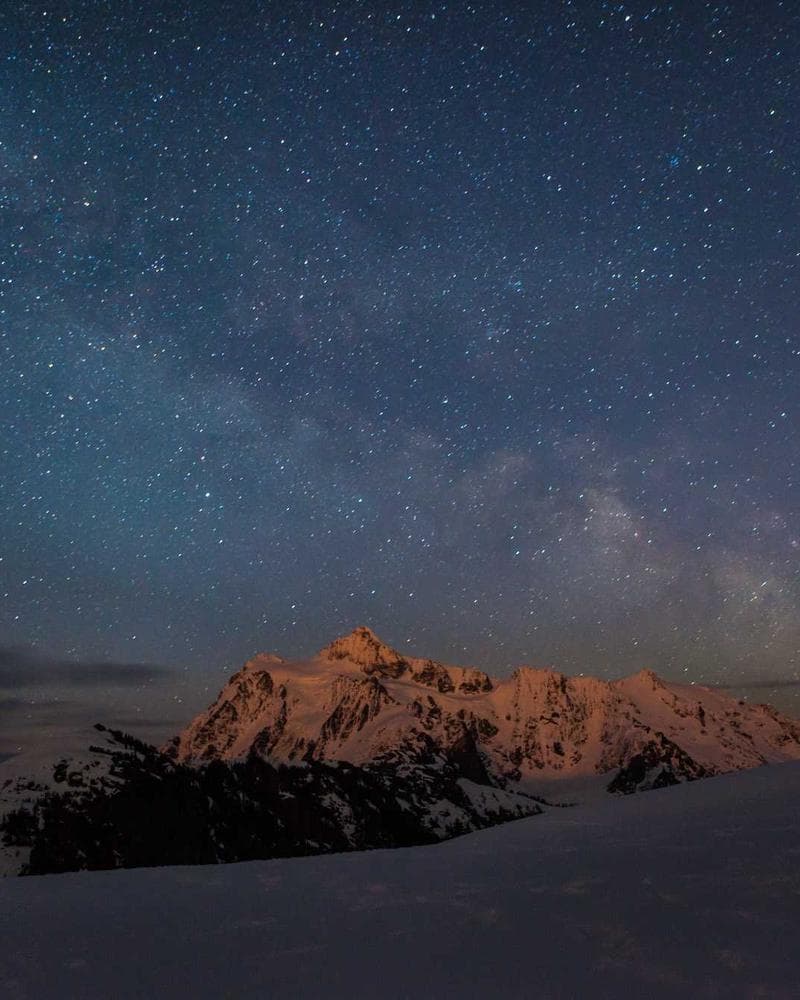 Gilded Petal Clip — image 1